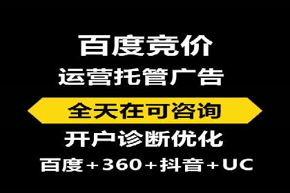 深入剖析SEM公司成功案例：数据驱动的广告策略